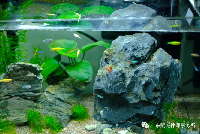 赋诚欢迎您(图14)